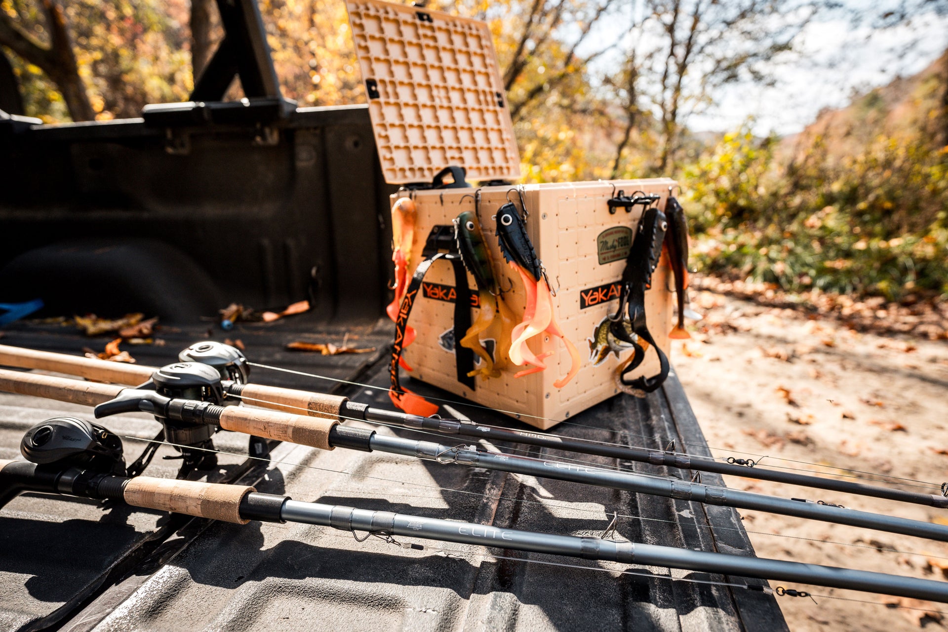 Elite Predator Rods lined up on back of a pickup truck