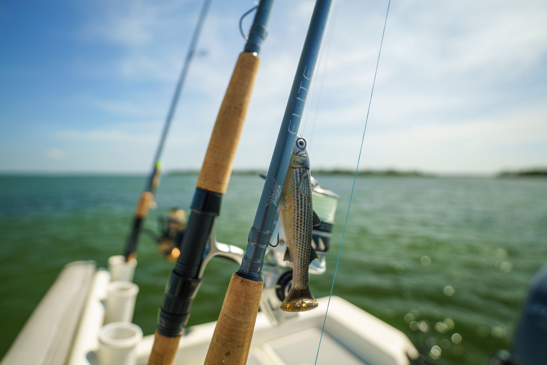 Elite Rods with bait on a boat
