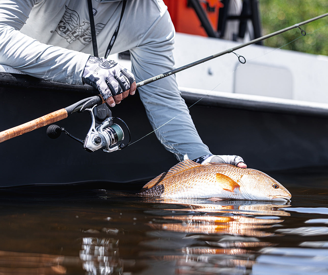 Explore Fenwick® Fishing Eagle Series | Fenwick®