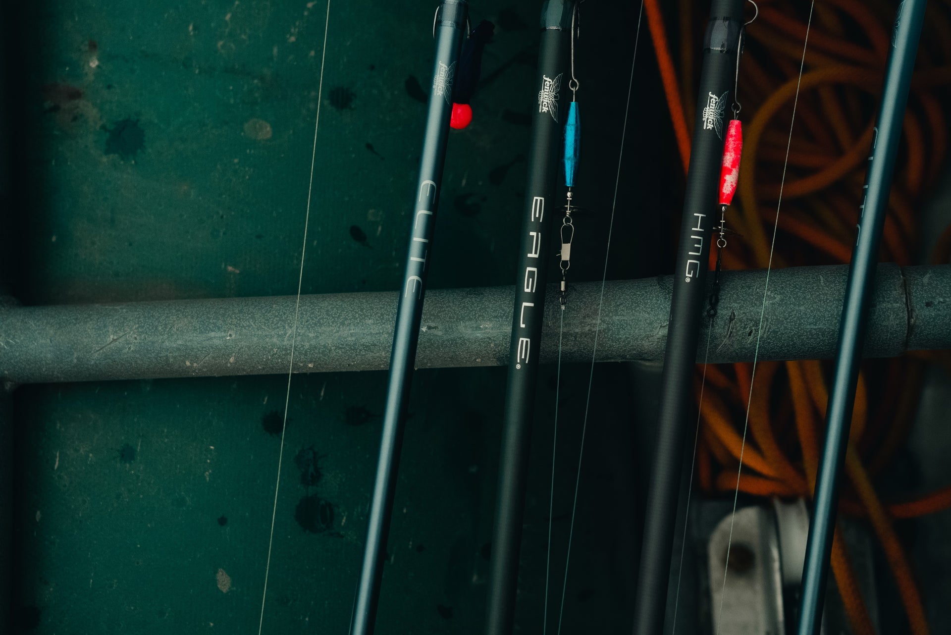 Fenwick rods lined up lifestyle