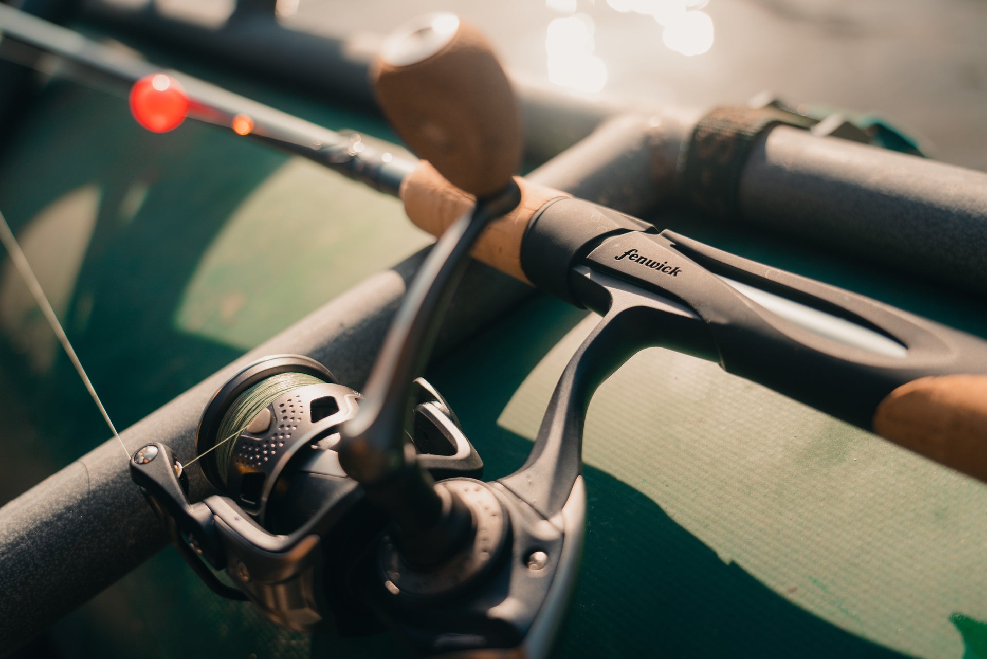 Elite Salmon Steelhead Spinning Rod Lifestyle