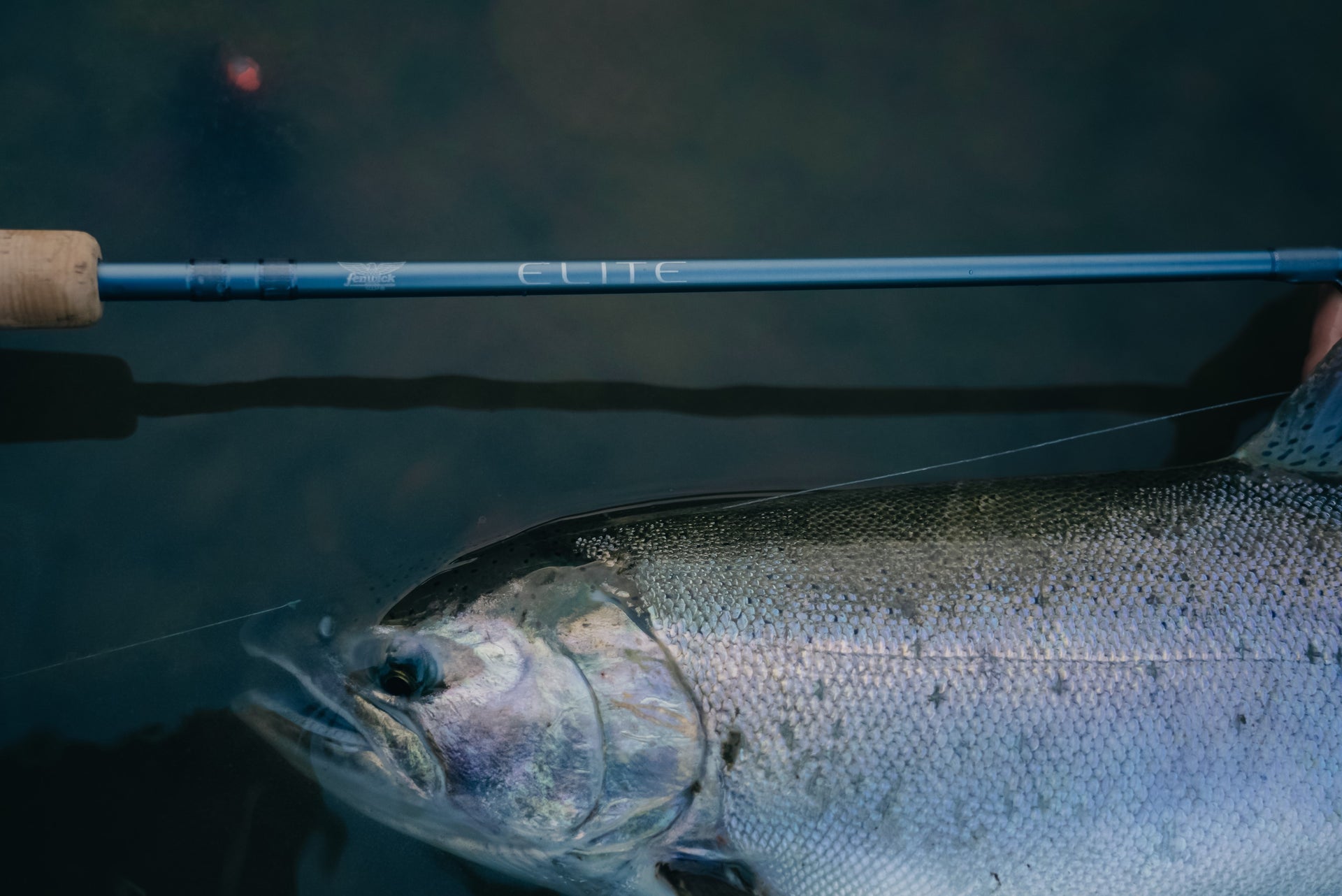 chinook fishing pole Elite Salmon & Steelhead Spinning Rod