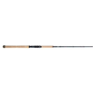 Fenwick Elite Inshore Casting Rod