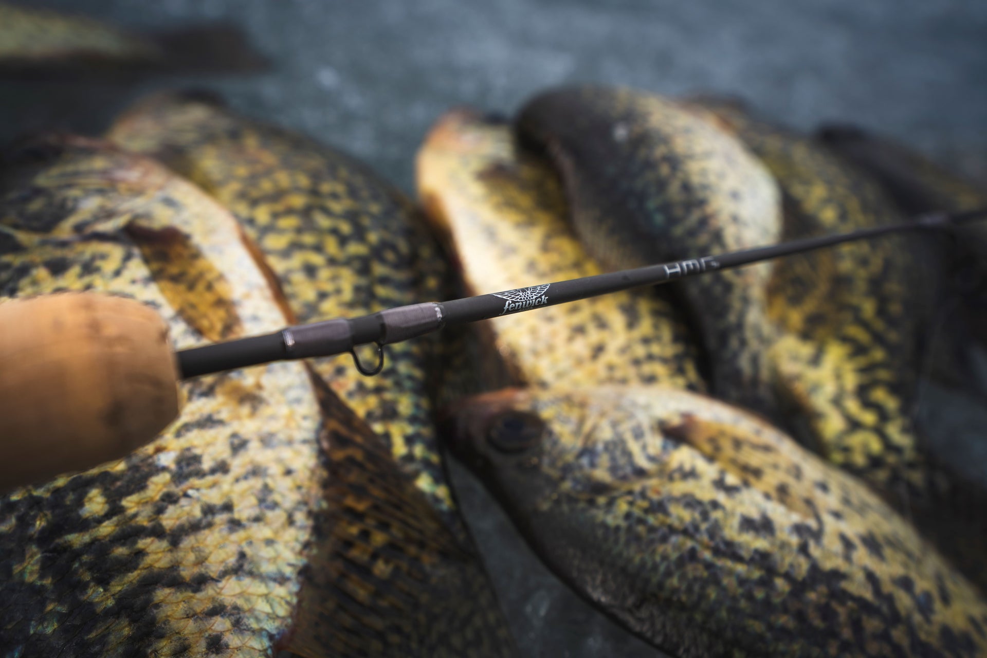 HMG Ice Rod over multiple fish