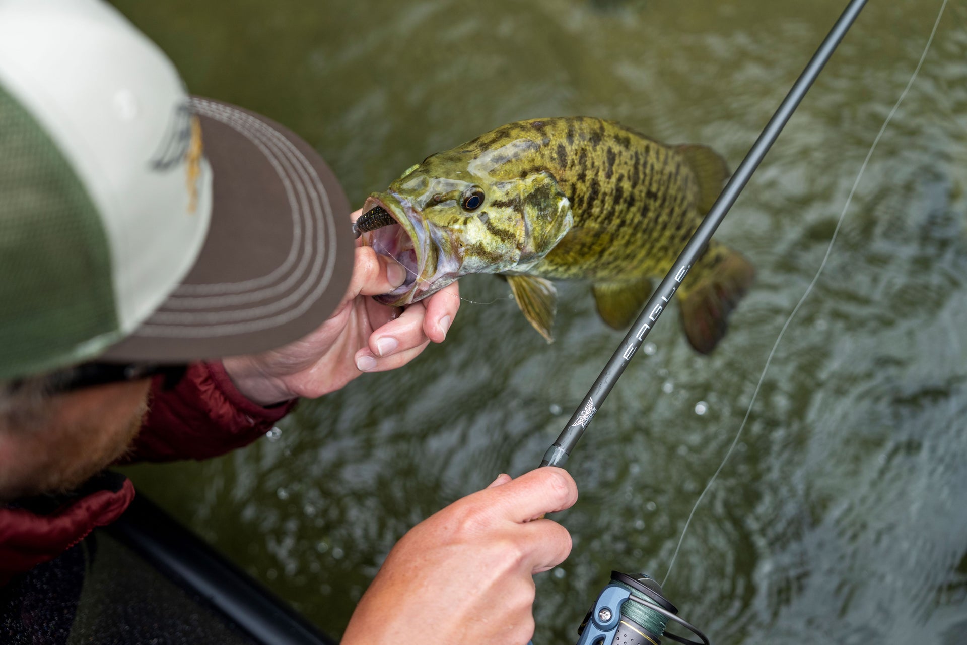 Caught bass pulled out of water