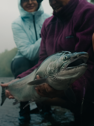 Salmon Steelhead in hand | Fenwick