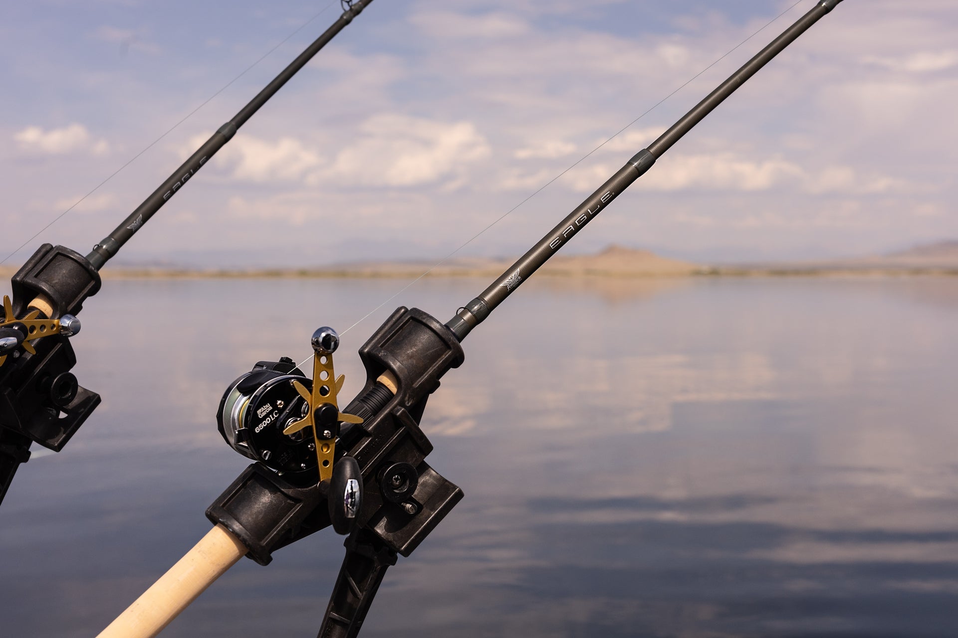 best telescopic sea fishing rod Eagle® Walleye Telescopic Trolling Rod
